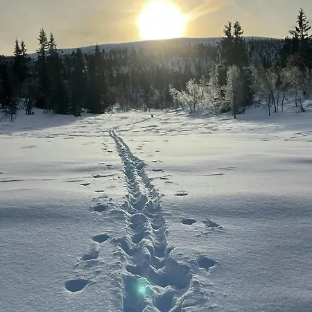 Mountain For Year-round Outdoor Activities Vevle