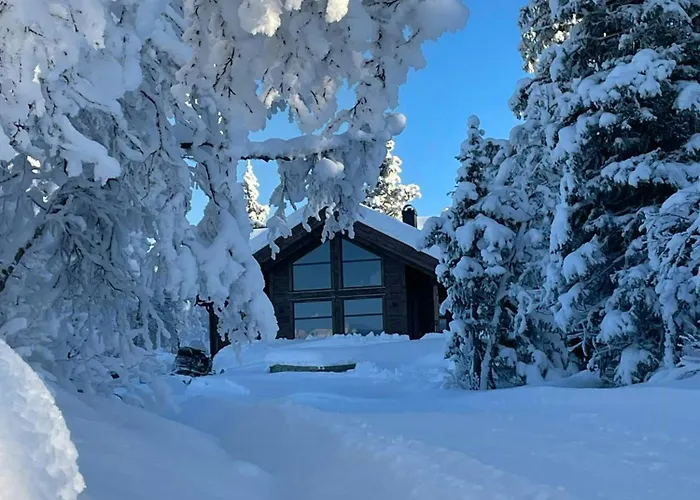 Mountain For Year-round Outdoor Activities Holiday home Vevle