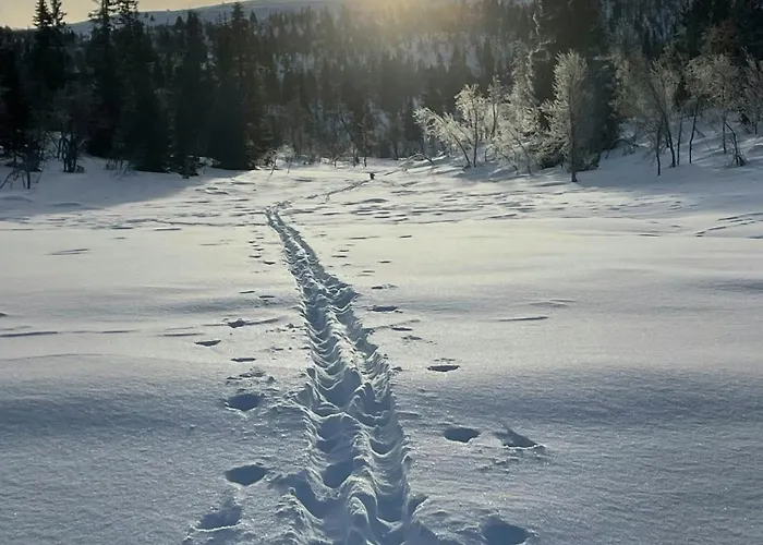 Mountain For Year-round Outdoor Activities Vevle