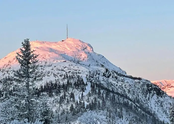 Holiday home Mountain For Year-round Outdoor Activities